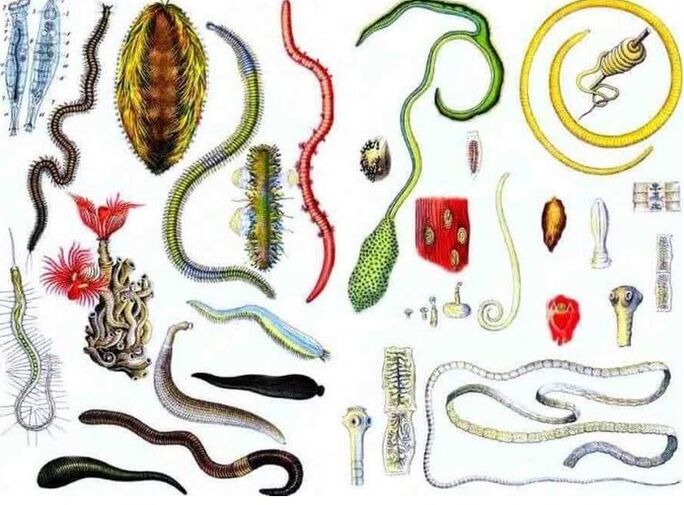 Types de parasites