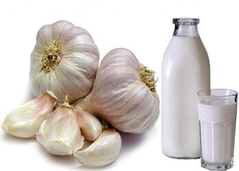 Lait et ail contre les parasites